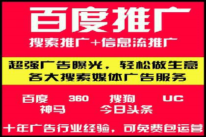 行业领先企业的SEM竞价代运营案例解析